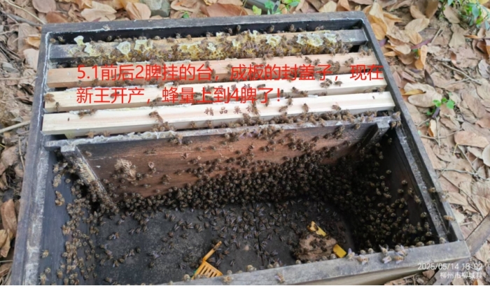 ΢Žͼ_20250515092010.jpg