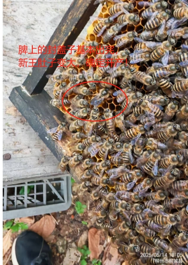 ΢Žͼ_20250515092147.jpg