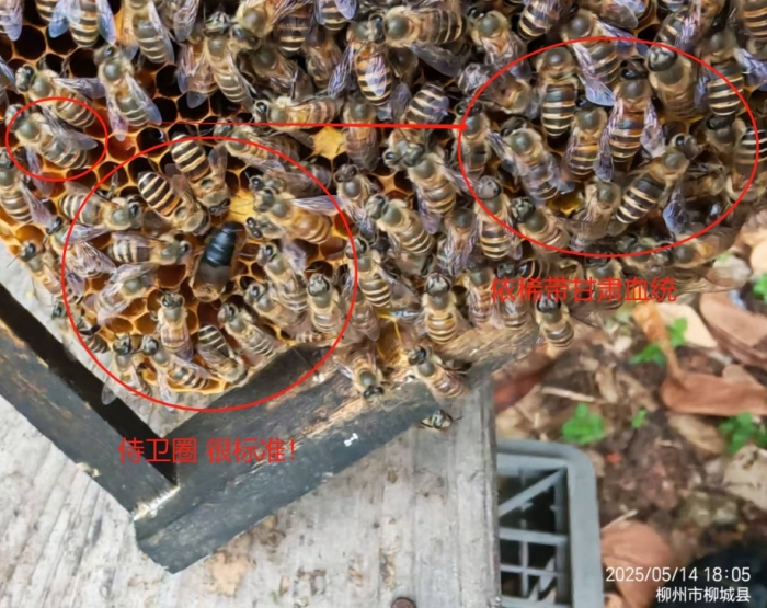 ΢Žͼ_20250515092350.jpg