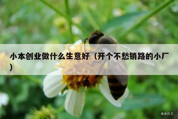 小本创业做什么生意好（开个不愁销路的小厂）