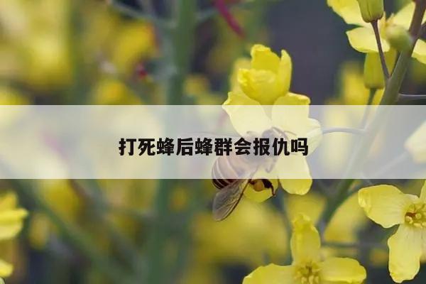打死蜂后蜂群会报仇吗