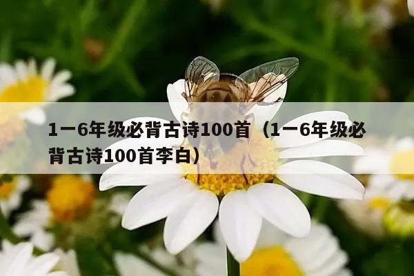 1一6年级必背古诗100首（1一6年级必背古诗100首李白）
