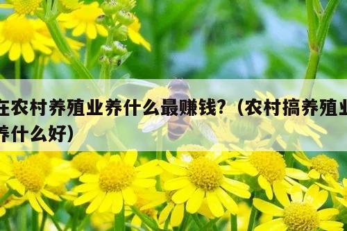在农村养殖业养什么最赚钱?（农村搞养殖业养什么好）