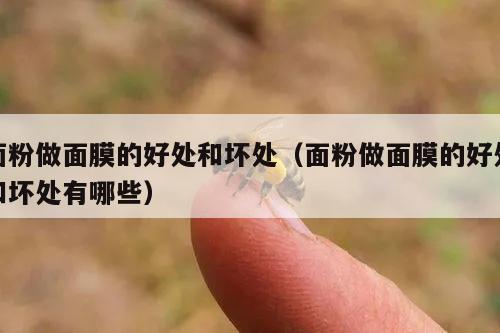 面粉做面膜的好处和坏处（面粉做面膜的好处和坏处有哪些）