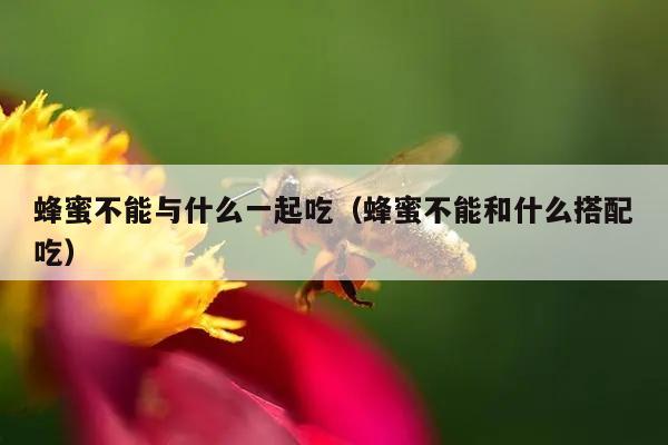 蜂蜜不能与什么一起吃（蜂蜜不能和什么搭配吃）