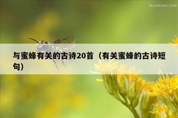 与蜜蜂有关的古诗20首（有关蜜蜂的古诗短句）