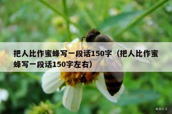 把人比作蜜蜂写一段话150字（把人比作蜜蜂写一段话150字左右）