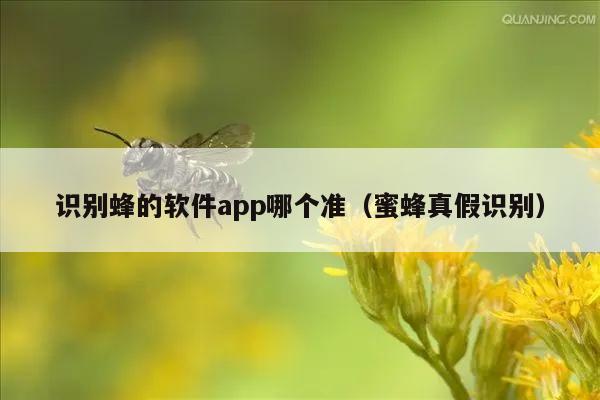 识别蜂的软件app哪个准（蜜蜂真假识别）