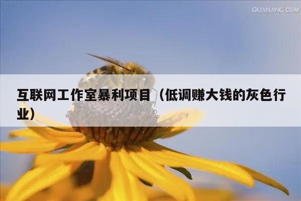 互联网工作室暴利项目（低调赚大钱的灰色行业）