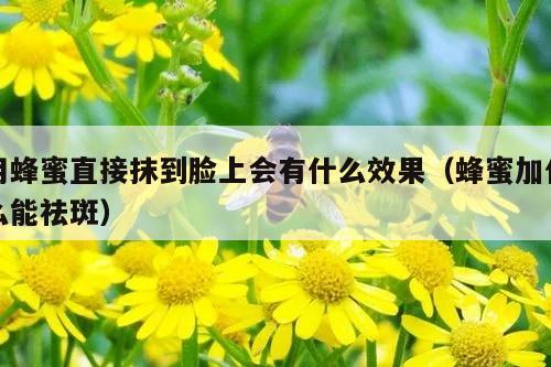 用蜂蜜直接抹到脸上会有什么效果（蜂蜜加什么能祛斑）