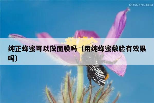 纯正蜂蜜可以做面膜吗（用纯蜂蜜敷脸有效果吗）