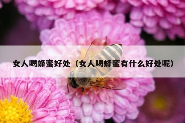 女人喝蜂蜜好处（女人喝蜂蜜有什么好处呢）