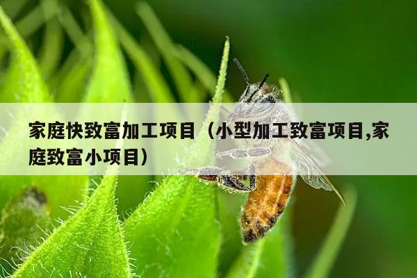 家庭快致富加工项目（小型加工致富项目,家庭致富小项目）