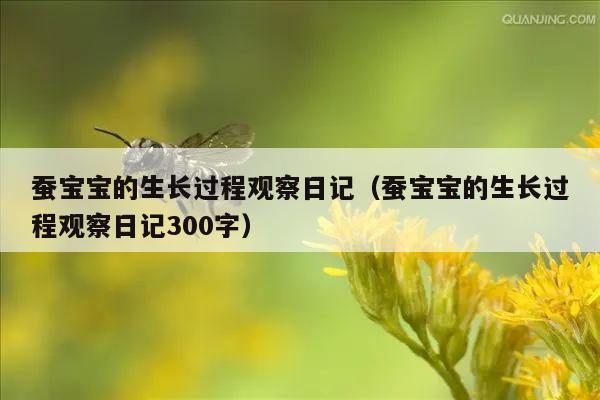 蚕宝宝的生长过程观察日记（蚕宝宝的生长过程观察日记300字）