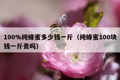 100%纯蜂蜜多少钱一斤（纯蜂蜜100块钱一斤贵吗）