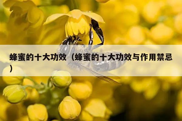 蜂蜜的十大功效（蜂蜜的十大功效与作用禁忌）