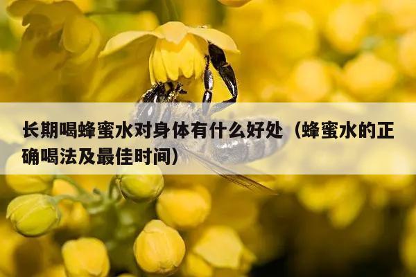 长期喝蜂蜜水对身体有什么好处（蜂蜜水的正确喝法及最佳时间）