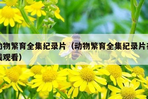 动物繁育全集纪录片（动物繁育全集纪录片在线观看）
