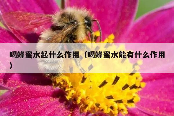 喝蜂蜜水起什么作用（喝蜂蜜水能有什么作用）