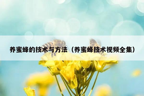 养蜜蜂的技术与方法（养蜜蜂技术视频全集）
