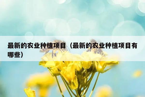 最新的农业种植项目（最新的农业种植项目有哪些）