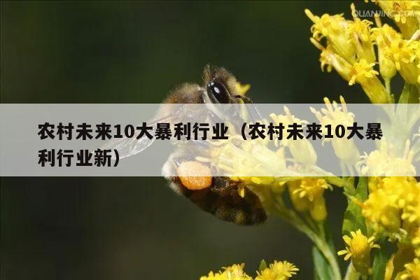 农村未来10大暴利行业（农村未来10大暴利行业新）