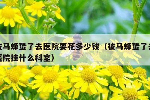 被马蜂蛰了去医院要花多少钱（被马蜂蛰了去医院挂什么科室）