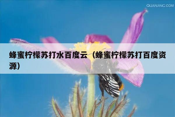 蜂蜜柠檬苏打水百度云（蜂蜜柠檬苏打百度资源）