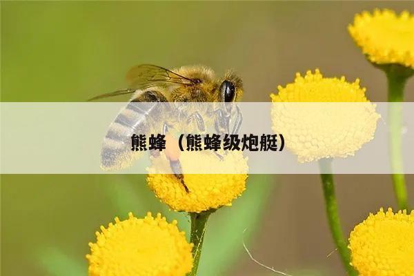 熊蜂（熊蜂级炮艇）