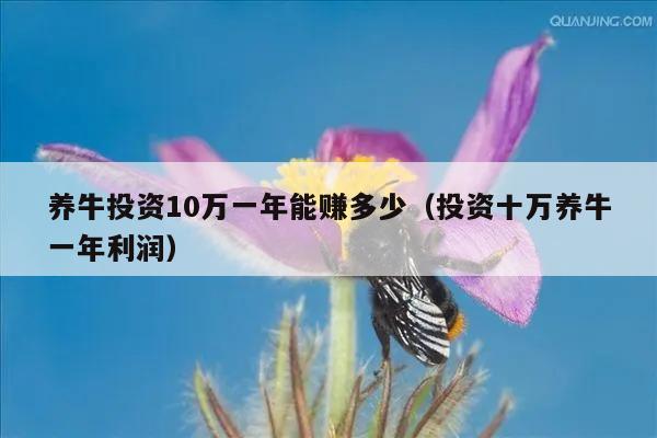 养牛投资10万一年能赚多少（投资十万养牛一年利润）