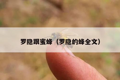罗隐跟蜜蜂（罗隐的蜂全文）