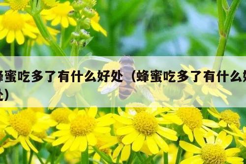 蜂蜜吃多了有什么好处（蜂蜜吃多了有什么好处）