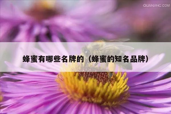 蜂蜜有哪些名牌的（蜂蜜的知名品牌）