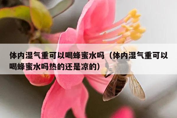 体内湿气重可以喝蜂蜜水吗（体内湿气重可以喝蜂蜜水吗热的还是凉的）