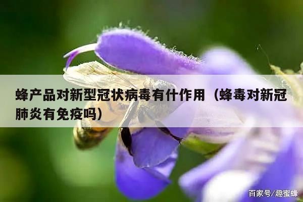 蜂产品对新型冠状病毒有什作用（蜂毒对新冠肺炎有免疫吗）