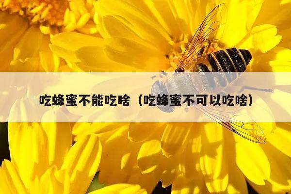 吃蜂蜜不能吃啥（吃蜂蜜不可以吃啥）