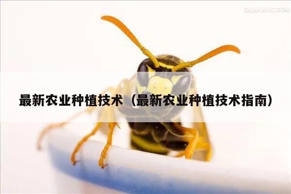 最新农业种植技术（最新农业种植技术指南）