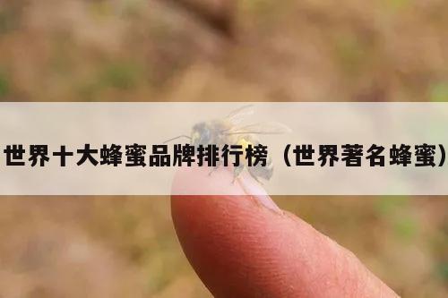 世界十大蜂蜜品牌排行榜（世界著名蜂蜜）