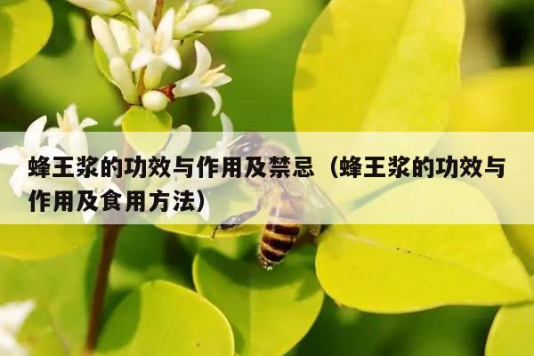 蜂王浆的功效与作用及禁忌（蜂王浆的功效与作用及食用方法）