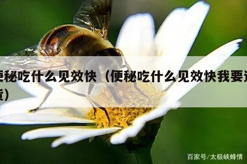 便秘吃什么见效快（便秘吃什么见效快我要退货）