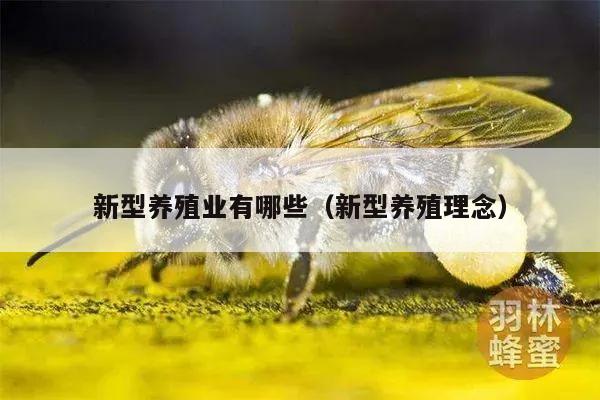 新型养殖业有哪些（新型养殖理念）