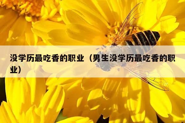 没学历最吃香的职业（男生没学历最吃香的职业）
