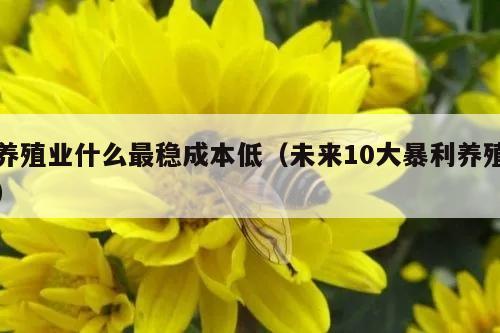 养殖业什么最稳成本低（未来10大暴利养殖）