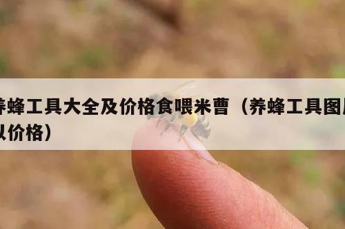 养蜂工具大全及价格食喂米曹（养蜂工具图片以价格）