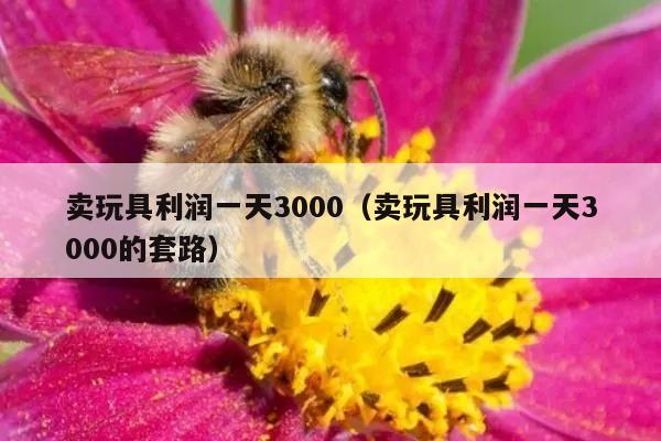 卖玩具利润一天3000（卖玩具利润一天3000的套路）