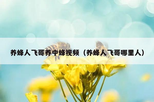 养蜂人飞哥养中蜂视频（养蜂人飞哥哪里人）
