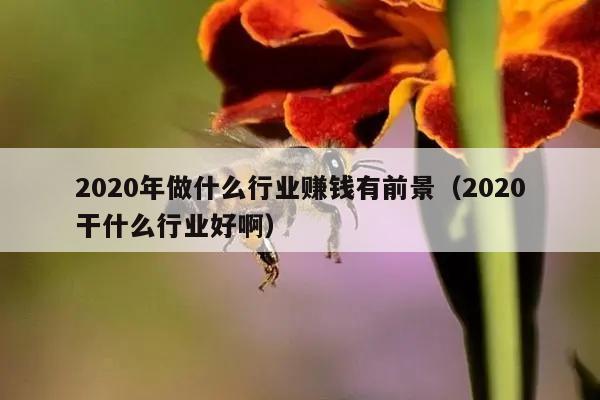 2020年做什么行业赚钱有前景（2020干什么行业好啊）
