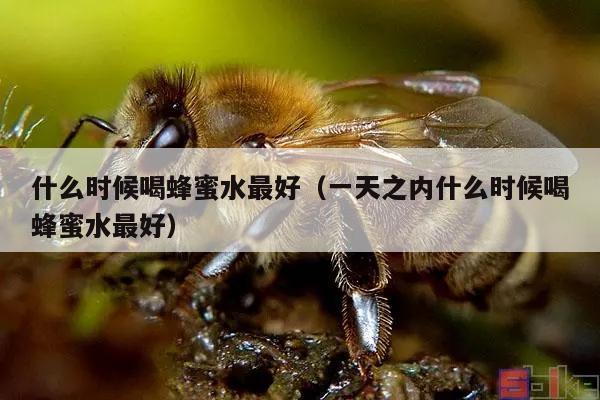 什么时候喝蜂蜜水最好（一天之内什么时候喝蜂蜜水最好）