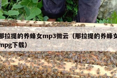 那拉提的养蜂女mp3微云（那拉提的养蜂女mpg下载）