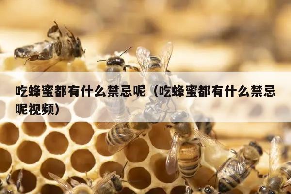 吃蜂蜜都有什么禁忌呢（吃蜂蜜都有什么禁忌呢视频）